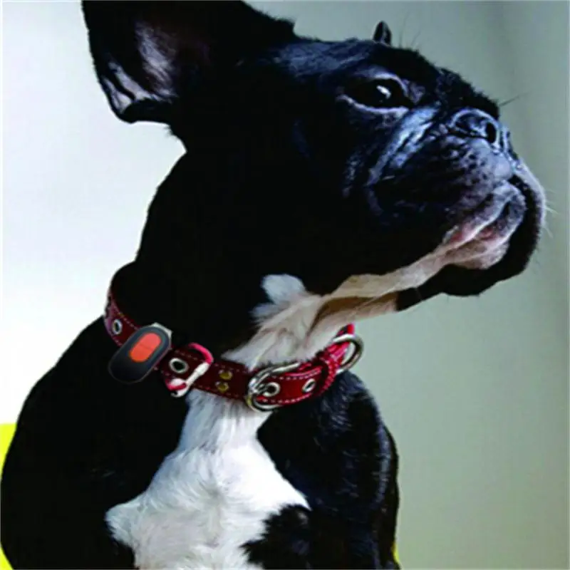 mini pets gps locator