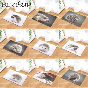 BLRISUP Digital Printed Hedgehog Pattern Doormat Mat Anti-slip Bathroom Kitchen Carpet Mat Strip 40*60cm Absorbent Door Mat
BLRISUP Digital Printed Hedgehog Pattern Doormat Mat Anti-slip Bathroom Kitchen Carpet Mat Strip 40*60cm Absorbent Door Mat