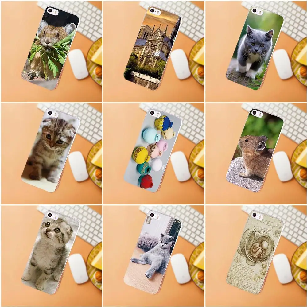 Cute Cat Mouse Bottles Soft Hipster Case For iPhone 4 4S 5 5C SE 6 6S 7 8 Plus X HTC Desire 628 630 816 820 One A9 M7 M8 M9 M10
Cute Cat Mouse Bottles Soft Hipster Case For iPhone 4 4S 5 5C SE 6 6S 7 8 Plus X HTC Desire 628 630 816 820 One A9 M7 M8 M9 M10