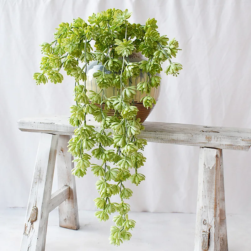 Artificial Succulents Plant Pearl Lotus Rattan Lover Tears Green Wall Hanging Plant Vine Garden Home Shop Decorative Flower
Artificial Succulents Plant Pearl Lotus Rattan Lover Tears Green Wall Hanging Plant Vine Garden Home Shop Decorative Flower