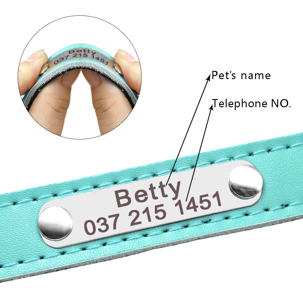 cat collar