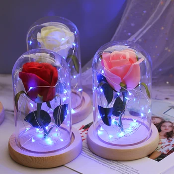 High Quality Romance Beautiful Eternal Flower Glass Cover LED Battery Lamp Birthday Valentine's Day Mother Gifts Home Decor
High Quality Romance Beautiful Eternal Flower Glass Cover LED Battery Lamp Birthday Valentine's Day Mother Gifts Home Decor