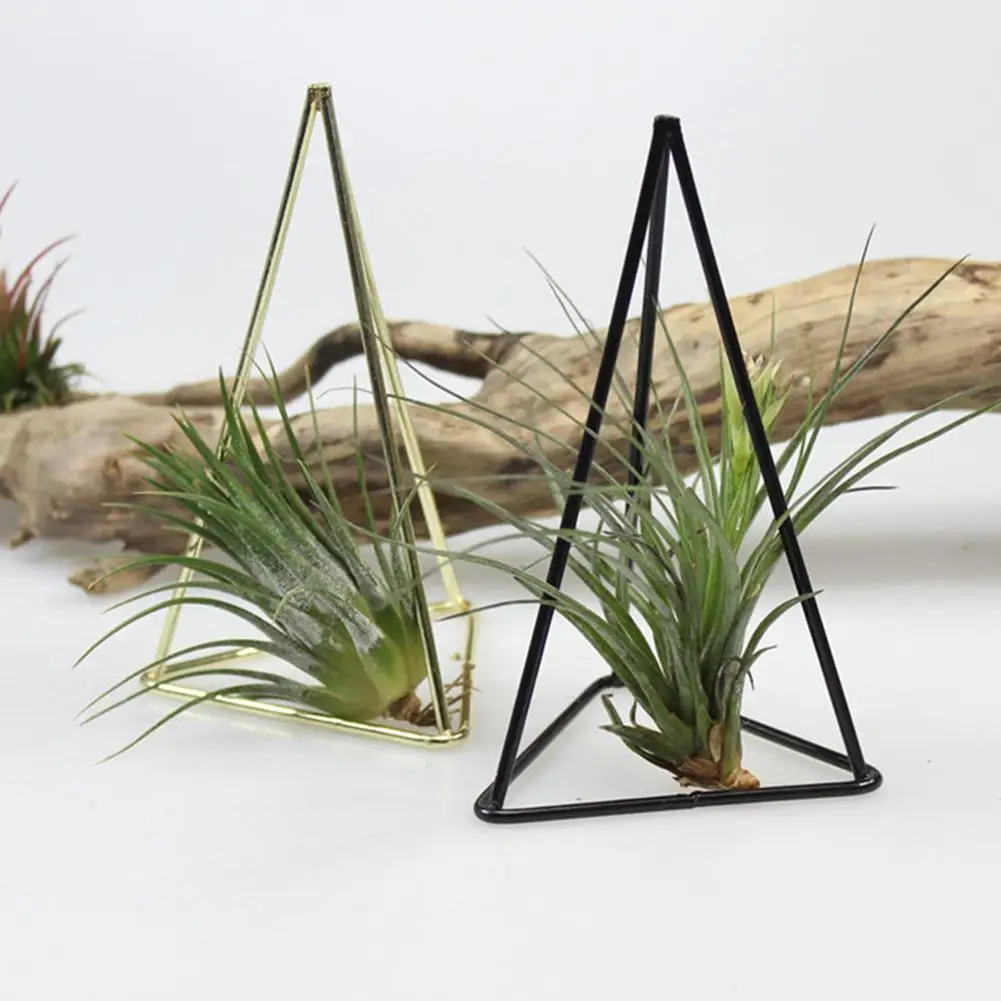 Rustic Style Iron Freestanding Hanging Air Plant Flower Stand Rack Holder Geometrical Triangle Trihedron Shaped Flower Pot
Rustic Style Iron Freestanding Hanging Air Plant Flower Stand Rack Holder Geometrical Triangle Trihedron Shaped Flower Pot