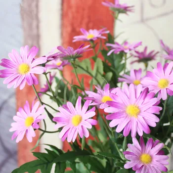 10PCS/ Artificial flowers garden style 9 Korean small daisy Home Furnishing decorative flower daisy flowers flowers simulation
10PCS/ Artificial flowers garden style 9 Korean small daisy Home Furnishing decorative flower daisy flowers flowers simulation