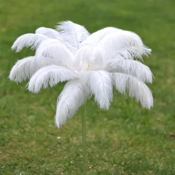 100 pcs beautiful White 18-20inches /45-50cm ostrich feathers DIY jewelry decoration / wedding celebration
100 pcs beautiful White 18-20inches /45-50cm ostrich feathers DIY jewelry decoration / wedding celebration