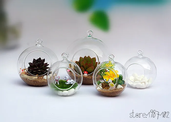 1Pc Glass Terrarium Ball Globe Shape Clear Hanging Vase Flower Air Plants Container Mini Landscape DIY Wedding Home Decoration
1Pc Glass Terrarium Ball Globe Shape Clear Hanging Vase Flower Air Plants Container Mini Landscape DIY Wedding Home Decoration
