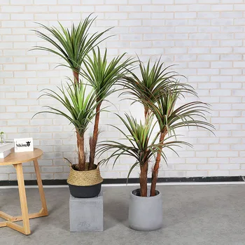 New large greenery plant 150cm 3 stems dragon blood wire orchid tree bonsai artificial tree artificial plant home decoration
New large greenery plant 150cm 3 stems dragon blood wire orchid tree bonsai artificial tree artificial plant home decoration