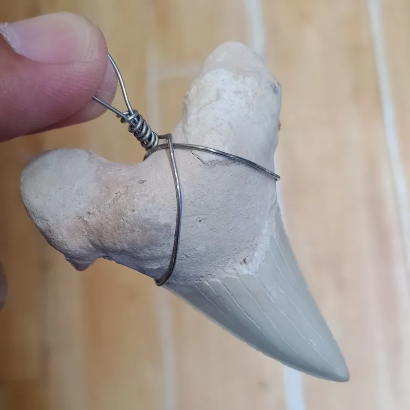 DHXYZB 50-60mm Large size Natural Shark Tooth Fossil Pendant raw stone and Crystal fossil specimen reiki healing for gift
DHXYZB 50-60mm Large size Natural Shark Tooth Fossil Pendant raw stone and Crystal fossil specimen reiki healing for gift