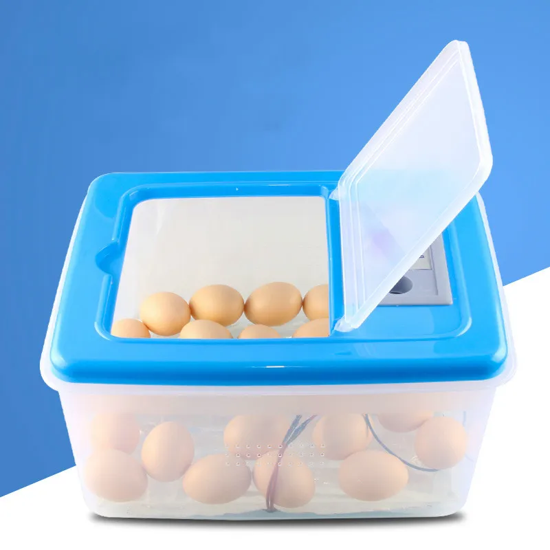 Mini 32 Egg Incubator Poultry Incubator Brooder Digital Temperature Hatchery Egg Incubator Hatcher Chicken Duck Bird Pigeon
Mini 32 Egg Incubator Poultry Incubator Brooder Digital Temperature Hatchery Egg Incubator Hatcher Chicken Duck Bird Pigeon