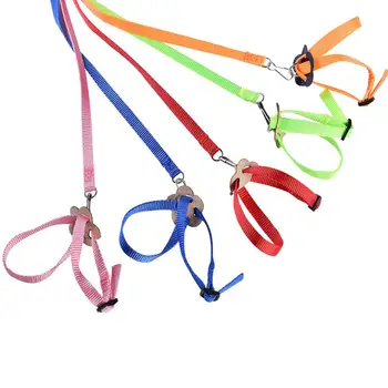 LanLan 8 Shape Flying Training Rope Pet Leash for Parrot Bird Hamster Tortoise Lizard
LanLan 8 Shape Flying Training Rope Pet Leash for Parrot Bird Hamster Tortoise Lizard