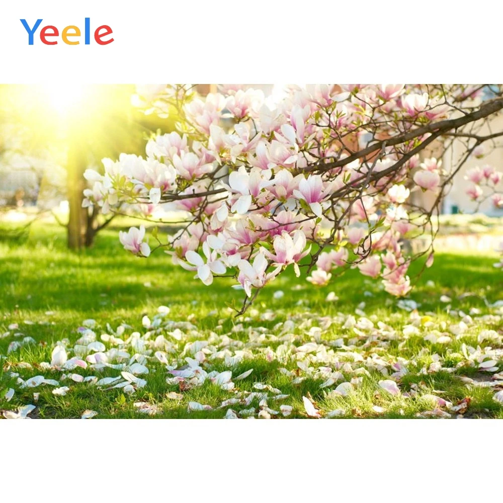 Yeele Vinyl Flowers Children Princess Birthday Party Photography Background Wedding Love Photographic Backdrop Photo Studio
Yeele Vinyl Flowers Children Princess Birthday Party Photography Background Wedding Love Photographic Backdrop Photo Studio