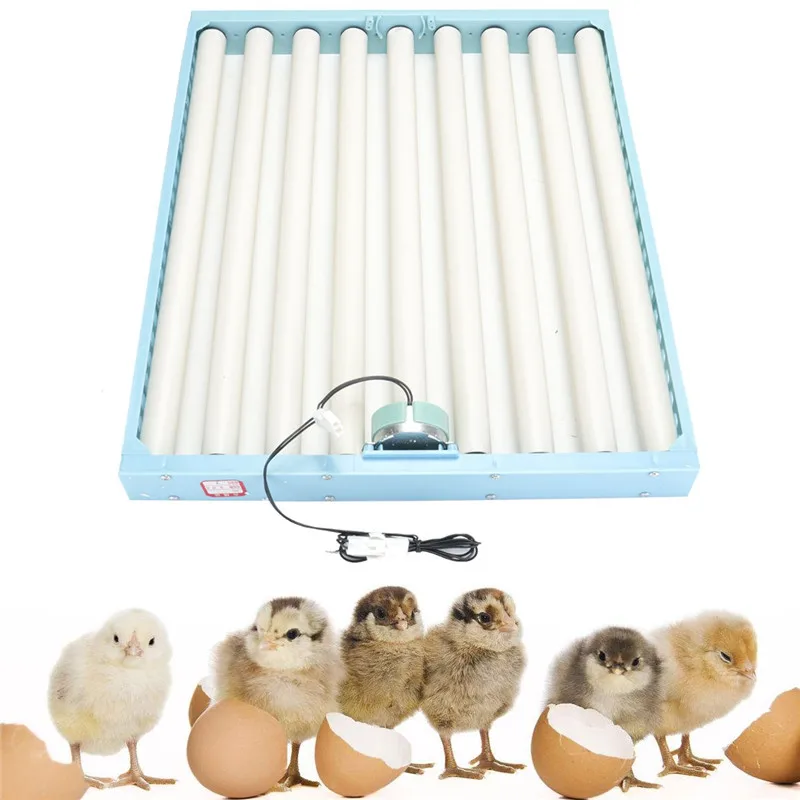 360 Degree Chicken Eggs Turner Automatic Incubator Duck Quail Bird Poultry Eggs Tray Farm Incubation Tools Supplies Blue
360 Degree Chicken Eggs Turner Automatic Incubator Duck Quail Bird Poultry Eggs Tray Farm Incubation Tools Supplies Blue