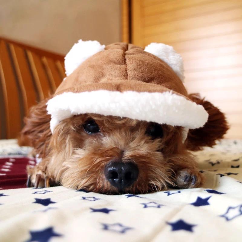 Autumn and winter Dog Hats For Pets Winter Hats For Dogs Cartoon warm hat headdress dress accessories warm Dog Cap Hats For Cats
Autumn and winter Dog Hats For Pets Winter Hats For Dogs Cartoon warm hat headdress dress accessories warm Dog Cap Hats For Cats