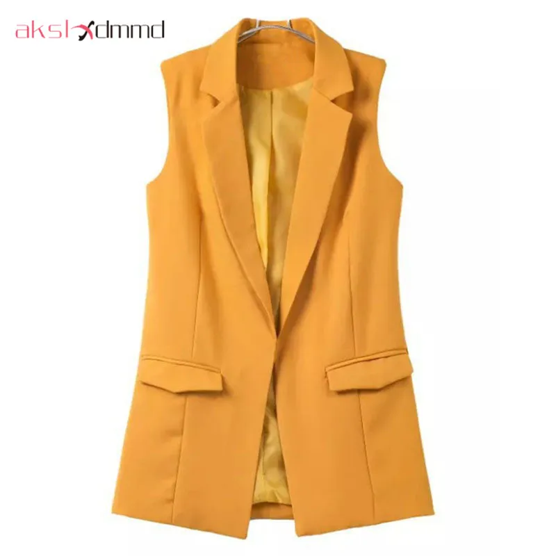 AKSLXDMMD Blazer Vest Coat 2019 New Spring and Autumn Turn-down Collar Sleeveless Fashion Women's Vest Jacket LH934
AKSLXDMMD Blazer Vest Coat 2019 New Spring and Autumn Turn-down Collar Sleeveless Fashion Women's Vest Jacket LH934