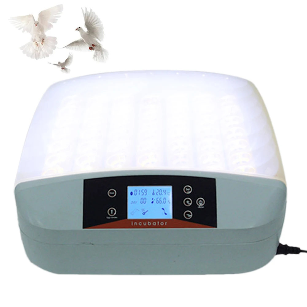 56 Eggs Hot Sale Household Incubator Egg-turning Machine Chicken Hatching Tools with High Transferring Rate Egg Hatch Machine
56 Eggs Hot Sale Household Incubator Egg-turning Machine Chicken Hatching Tools with High Transferring Rate Egg Hatch Machine