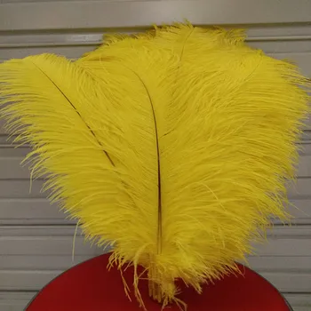 Gorgeous wholesale 10 PCS Yellow 55-60 cm/22-24 inches ostrich feathers plume artware performing decorations
Gorgeous wholesale 10 PCS Yellow 55-60 cm/22-24 inches ostrich feathers plume artware performing decorations