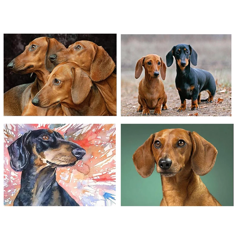 5d Diy Diamond Painting Professor Dachshund Diamond Embroidery Color Cute Pets Dog Full Drill Square Rhinestones DIY Bead Crafts
5d Diy Diamond Painting Professor Dachshund Diamond Embroidery Color Cute Pets Dog Full Drill Square Rhinestones DIY Bead Crafts