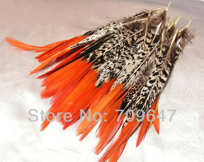 30PCS/LOT 20-25cm 8-10inches LOOSE NATURAL Orange Tips Lady Amherst Pheasant Feathers FOR FLY TYING
30PCS/LOT 20-25cm 8-10inches LOOSE NATURAL Orange Tips Lady Amherst Pheasant Feathers FOR FLY TYING
