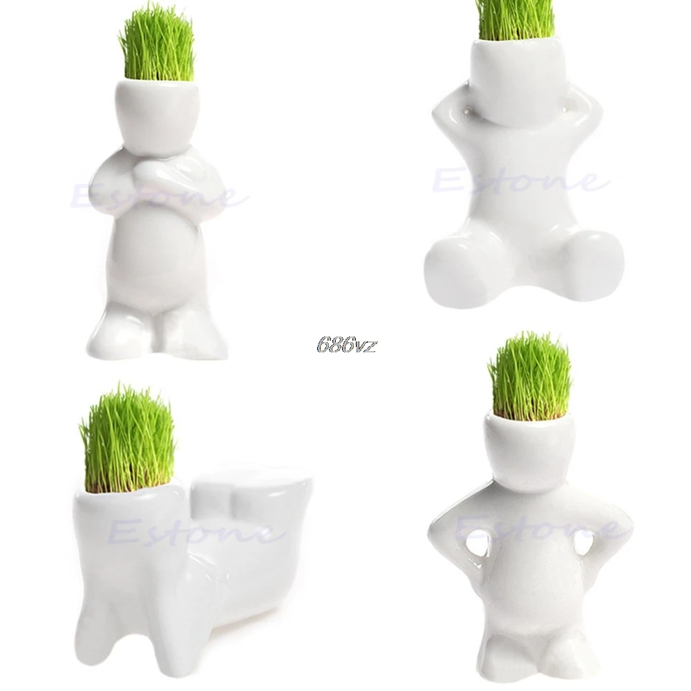4 shape Choose DIY Mini Novel Bonsai Grass Doll Hair White Lazy Man Plant Garden N24 Drop Ship
4 shape Choose DIY Mini Novel Bonsai Grass Doll Hair White Lazy Man Plant Garden N24 Drop Ship