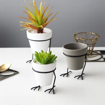 Nordic Bird Feet Shape Flowerpot Ceramics Iron Tabletop Vase Art Flowepot Home Living Room Office Desktop Decor Flower Pot
Nordic Bird Feet Shape Flowerpot Ceramics Iron Tabletop Vase Art Flowepot Home Living Room Office Desktop Decor Flower Pot
