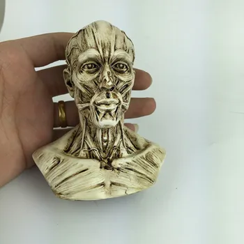 Human head muscle model carved ferrite still life painting art reference head model bust skull model ornaments Landscaping
Human head muscle model carved ferrite still life painting art reference head model bust skull model ornaments Landscaping