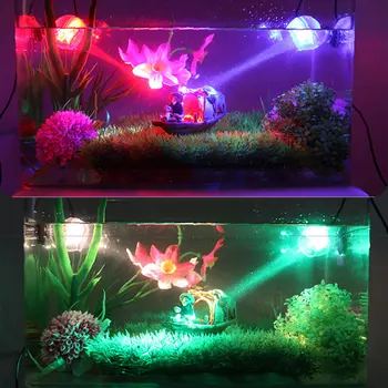 Fish Tank LED Lighting Waterproof Underwater Spotlight Marine Night/Diving Light Aquarium Lamp Decoration Accessories Store
Fish Tank LED Lighting Waterproof Underwater Spotlight Marine Night/Diving Light Aquarium Lamp Decoration Accessories Store