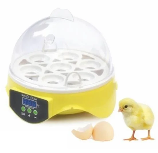 Cheap Price China Digital Temperature Small Brooder 7 Mini Hatchery Egg Incubator Hatcher for Chicken Duck Bird Pigeon Quail
Cheap Price China Digital Temperature Small Brooder 7 Mini Hatchery Egg Incubator Hatcher for Chicken Duck Bird Pigeon Quail