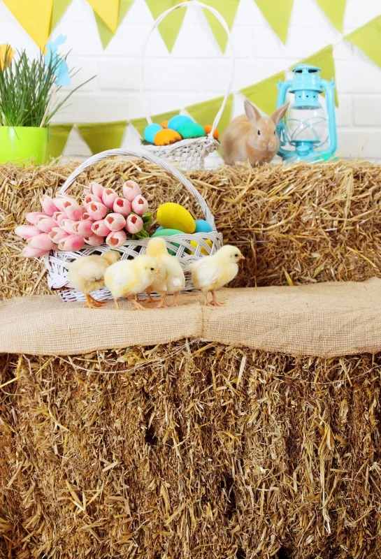 Laeacco Photo Backdrops Haystack Spring Flowers Chicken Easter Basket Eggs Flag Baby Child Photographic Backgrounds Photo Studio
Laeacco Photo Backdrops Haystack Spring Flowers Chicken Easter Basket Eggs Flag Baby Child Photographic Backgrounds Photo Studio