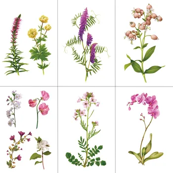 HXMAN Flower Temporary Tattoos for Women Hand Tattoo Sticker Fashion Body Art Waterproof Kids Arm Fake Tatoo 9.8X6cm P-078
HXMAN Flower Temporary Tattoos for Women Hand Tattoo Sticker Fashion Body Art Waterproof Kids Arm Fake Tatoo 9.8X6cm P-078