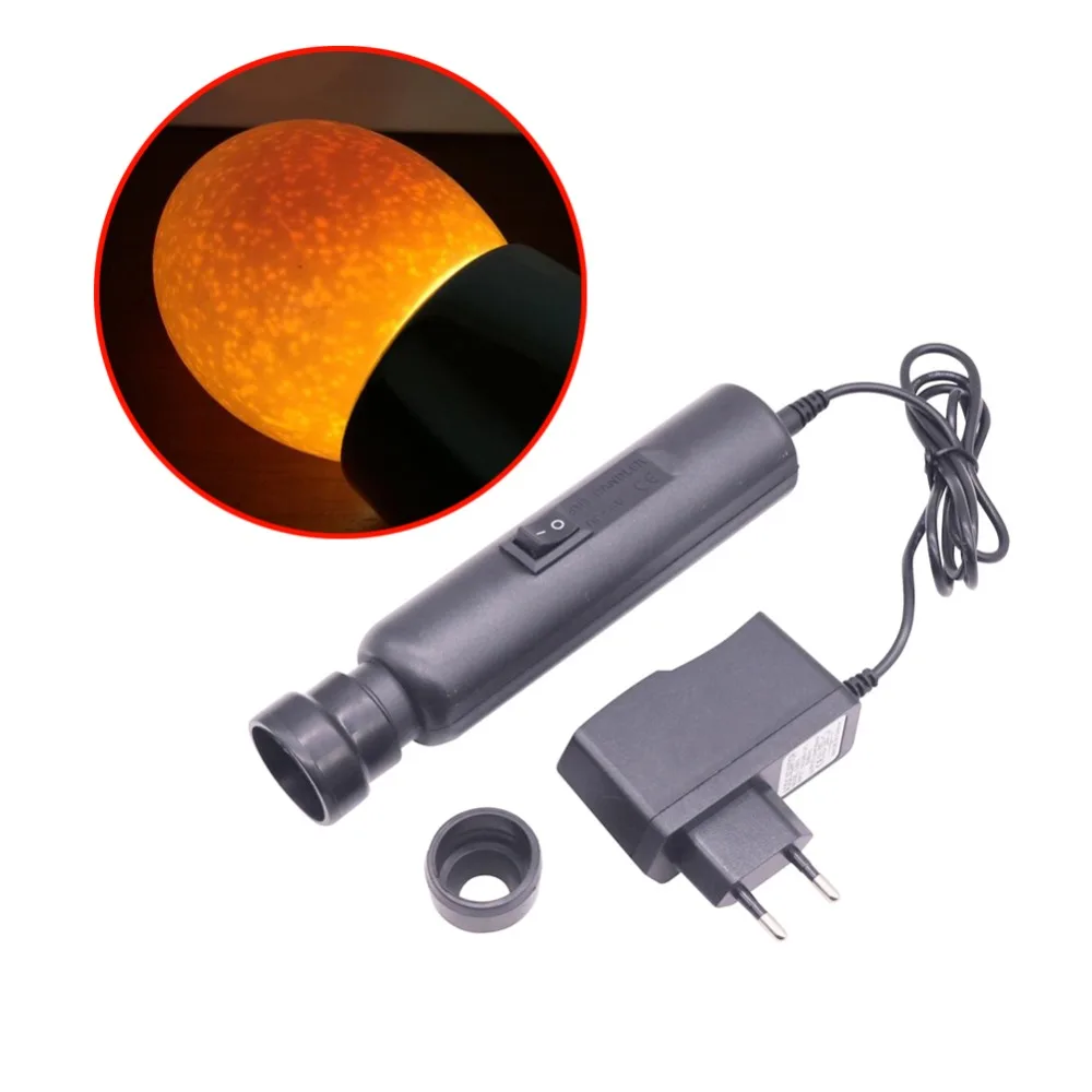 1 pcs LED Cold Light European Standard Egg Light Does Not Heat Cold Light No Battery Life Grow Up Power Lamp Beads Two Card Head
1 pcs LED Cold Light European Standard Egg Light Does Not Heat Cold Light No Battery Life Grow Up Power Lamp Beads Two Card Head
