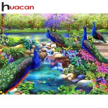 Huacan DIY Diamond Painting Accessories Peacock Full Diamond Embroidery Complete Kit Scenic New Rhinestones Pictures
Huacan DIY Diamond Painting Accessories Peacock Full Diamond Embroidery Complete Kit Scenic New Rhinestones Pictures