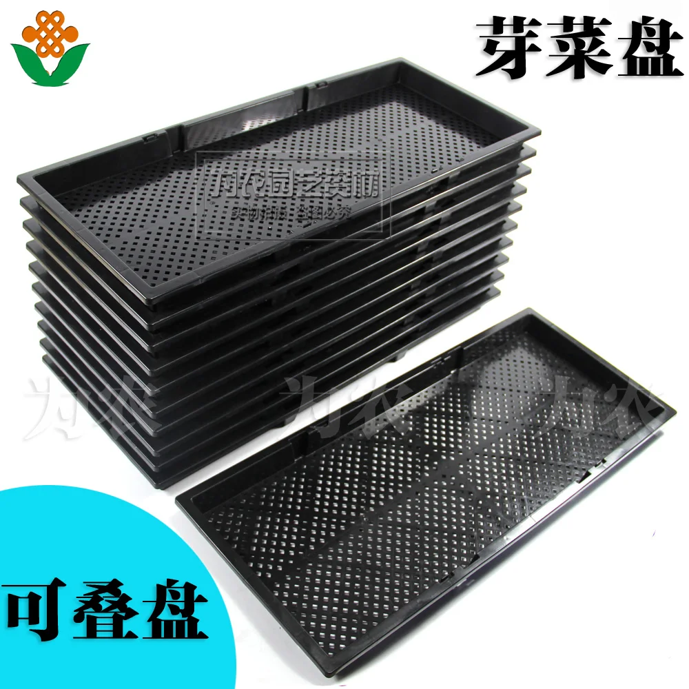 

Double-layer sprout seedling dish Thick pot culture Pinet tray Nutrition bowl culture tray 56*24*3cm