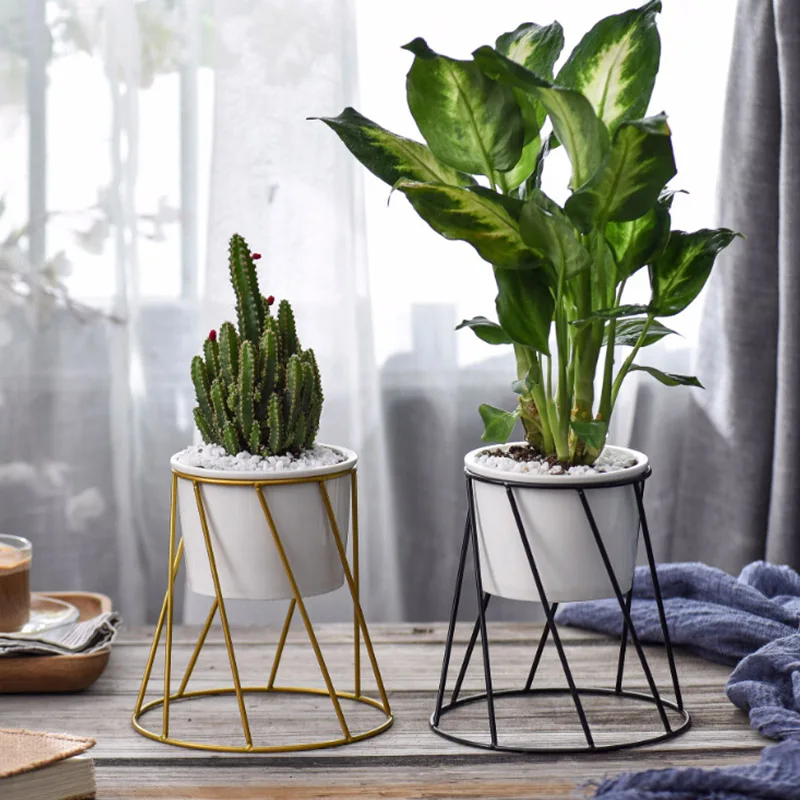 Flower Pots Nordic Minimalist Geometry Iron Ceramic Succulent Pot Vanilla Green Plant Desktop Flower Pot for Home Garden Decor
Flower Pots Nordic Minimalist Geometry Iron Ceramic Succulent Pot Vanilla Green Plant Desktop Flower Pot for Home Garden Decor
