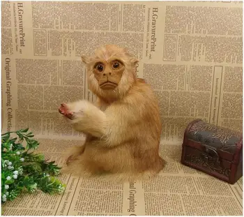 Simulation Monkey Ornament Decorative Fur Static Animal Model Zodiac Animal Education Prop
Simulation Monkey Ornament Decorative Fur Static Animal Model Zodiac Animal Education Prop