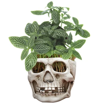 Cute Cartoon Flowerpot Home Decor Ornament Figures Cute Model Toy Pen Pot Holder Garden Decor Supplies Flower Pot Planters
Cute Cartoon Flowerpot Home Decor Ornament Figures Cute Model Toy Pen Pot Holder Garden Decor Supplies Flower Pot Planters