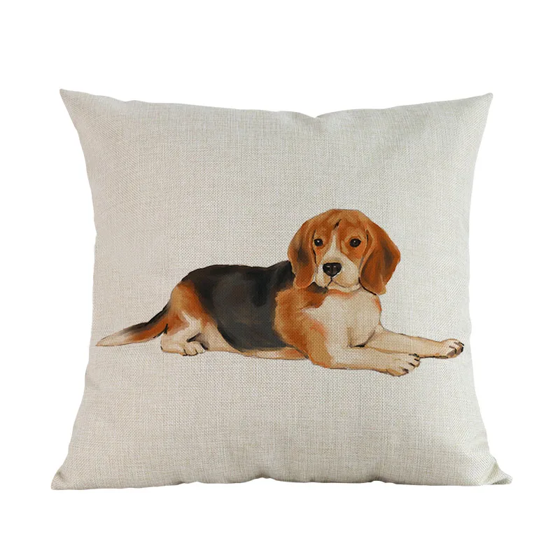 beagle