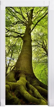 3D Door Sticker Huge Green Tree Wall Sticker DIY Door Cover Kitchen Home Decoration Accessories Modern 3d Wall Stickers
3D Door Sticker Huge Green Tree Wall Sticker DIY Door Cover Kitchen Home Decoration Accessories Modern 3d Wall Stickers