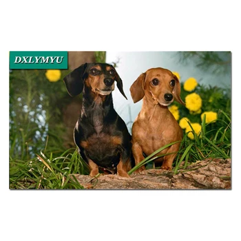 animal Diamond Embroidery Mosaic Handmade Gift Full Square Diamond Painting Dachshund Pattern Rhinestone Christmas decoration
animal Diamond Embroidery Mosaic Handmade Gift Full Square Diamond Painting Dachshund Pattern Rhinestone Christmas decoration