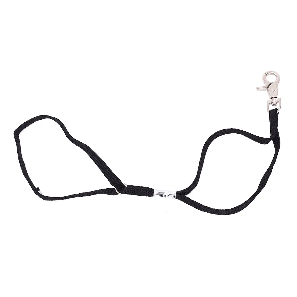 Dog Cat Pet Grooming Table Sling Rope Pet Body Noose for Grooming Durable Dog Holder Restraint Ropes Adjustable Pet Accessories
Dog Cat Pet Grooming Table Sling Rope Pet Body Noose for Grooming Durable Dog Holder Restraint Ropes Adjustable Pet Accessories