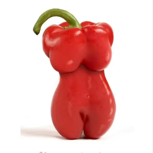 Magical Vegetable 200 pcs/bag Sexy Beauty Pepper Plants bonsai,beautiful Bosom Pepper chili for home garden
Magical Vegetable 200 pcs/bag Sexy Beauty Pepper Plants bonsai,beautiful Bosom Pepper chili for home garden