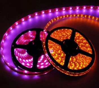 5m DC12V 5050 SMD IP65 waterproof LED strip 60LEDs/m 300LED/roll white/warm white/blue/green/red/yellow/RGB free shipping
5m DC12V 5050 SMD IP65 waterproof LED strip 60LEDs/m 300LED/roll white/warm white/blue/green/red/yellow/RGB free shipping
