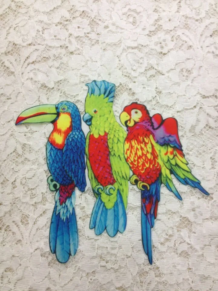 1PCS Multicolor Parrot Animal Pattern Heat Transfer Printing Iron Sew Stick On Patches Applique for T-shirt Jeans
1PCS Multicolor Parrot Animal Pattern Heat Transfer Printing Iron Sew Stick On Patches Applique for T-shirt Jeans