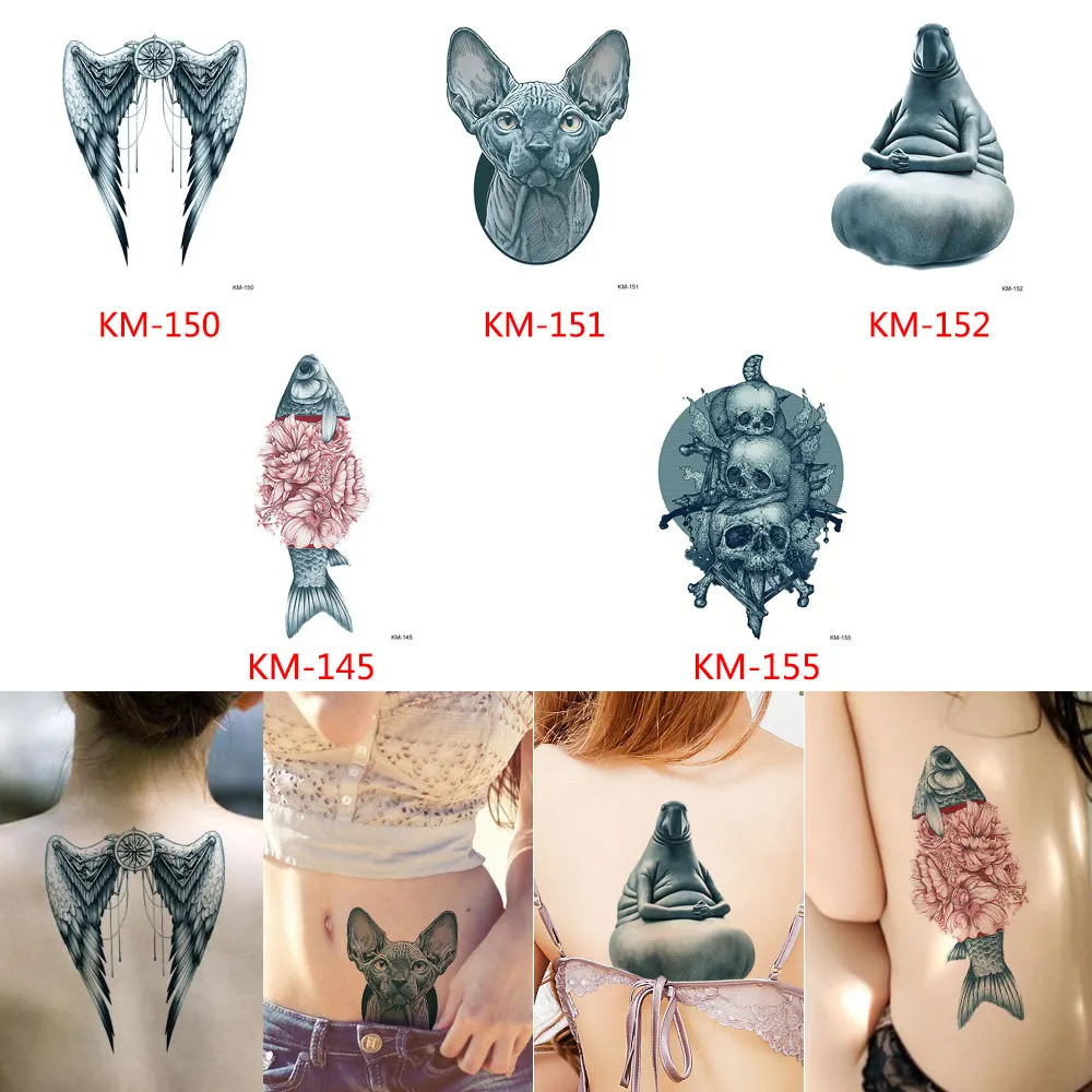 KM-AMAUS-29