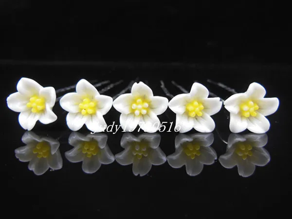 20 Pcs Lot Wedding Bridal Prom White Flower Hair Pins Hair Clip Jewelry Accessories Ornaments Free Shipping
20 Pcs Lot Wedding Bridal Prom White Flower Hair Pins Hair Clip Jewelry Accessories Ornaments Free Shipping