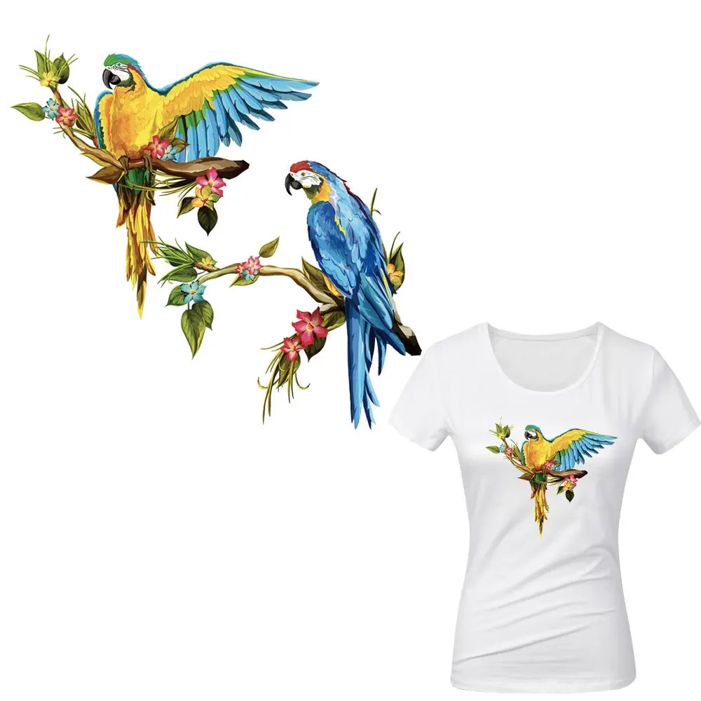 PA-176-BIRDS_01
