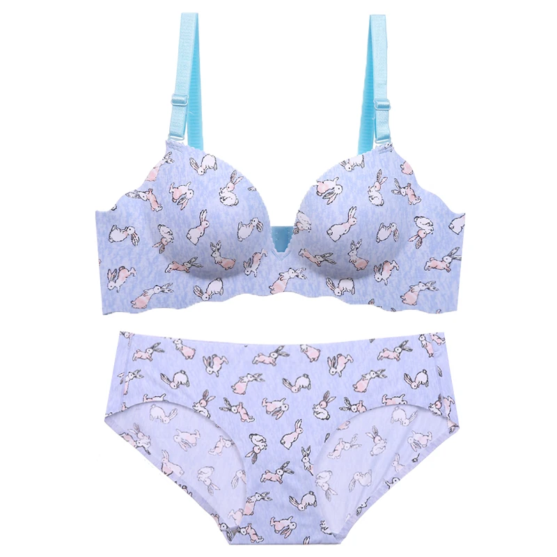 Baharcelin Small Chest Seamless wire free Young Gril Push Up Bra Set Animal Printed bra Romantic Underwear Set Pink Blue
Baharcelin Small Chest Seamless wire free Young Gril Push Up Bra Set Animal Printed bra Romantic Underwear Set Pink Blue