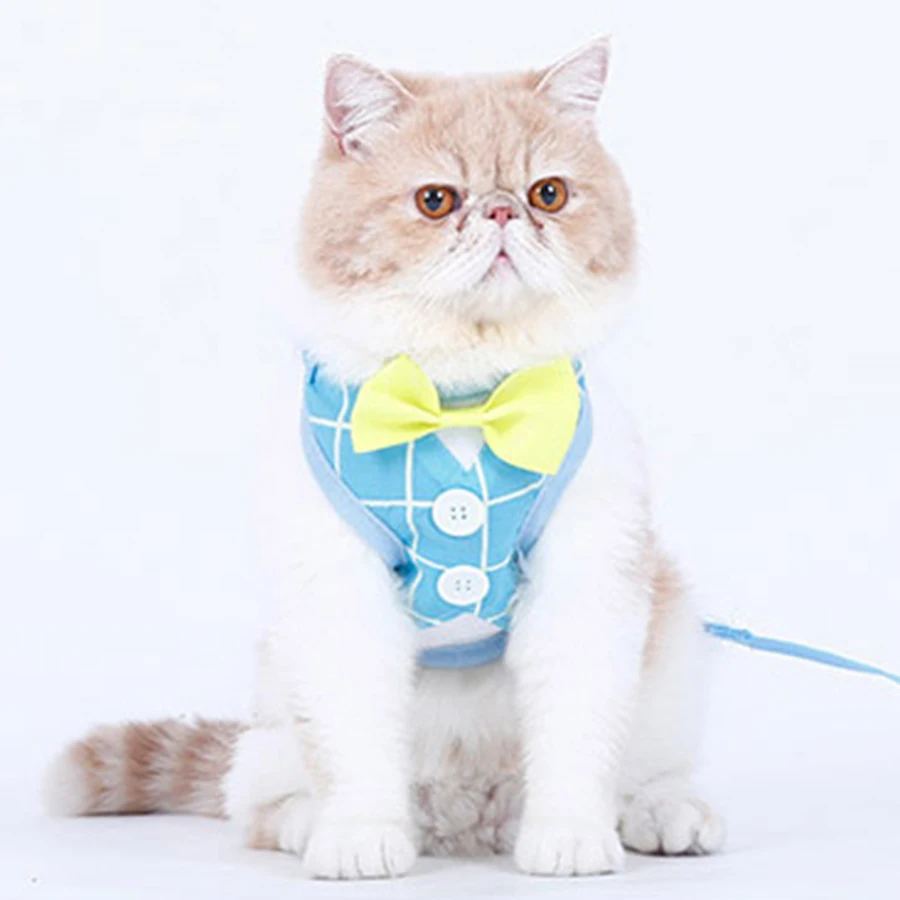 Harness Cat Rope Vest Traction Elegant Collar Led Kitten Harnesses Katten Harnas Cats Decoration Terno Gato Pet Products 90D1801
Harness Cat Rope Vest Traction Elegant Collar Led Kitten Harnesses Katten Harnas Cats Decoration Terno Gato Pet Products 90D1801