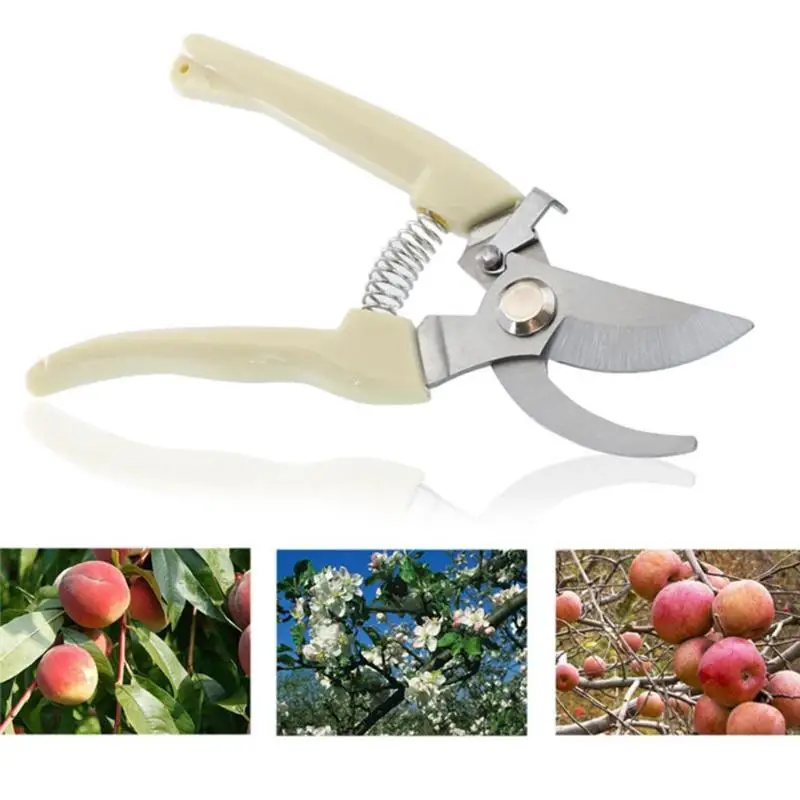Garden Pruning Shear Spring Grafting Scissors Carbon Steel Tree Pruner Cut Orchard Plant Scissors Branch Pruner Trimmer Tool
Garden Pruning Shear Spring Grafting Scissors Carbon Steel Tree Pruner Cut Orchard Plant Scissors Branch Pruner Trimmer Tool