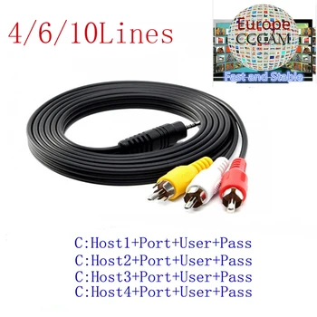 CCCAM HD AV Cable 1 Year Clines for Satellite Receiver DVB-S2 via USB wifi