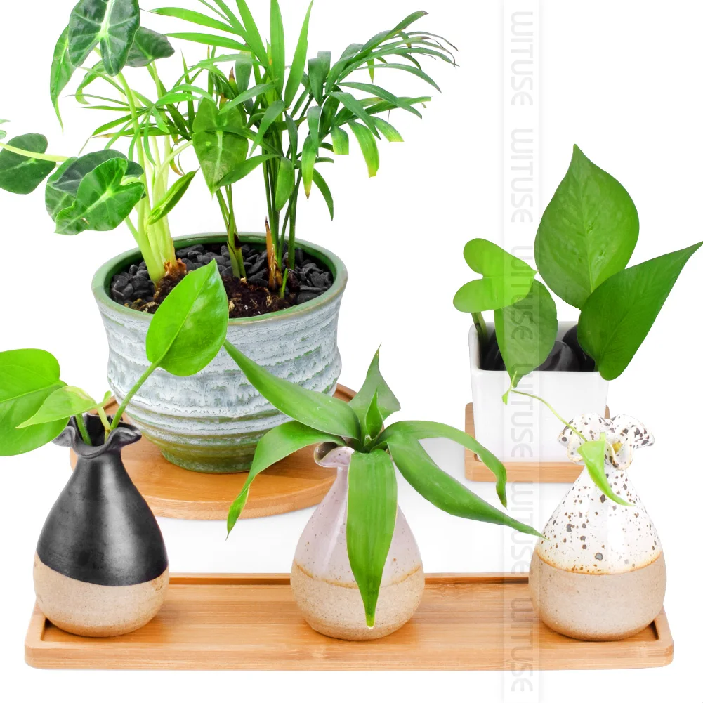 WITUSE Sale! 6PCS Square Round Flower Pots Trays Creative Small Vases Pots Trays For Succulent Plants
WITUSE Sale! 6PCS Square Round Flower Pots Trays Creative Small Vases Pots Trays For Succulent Plants